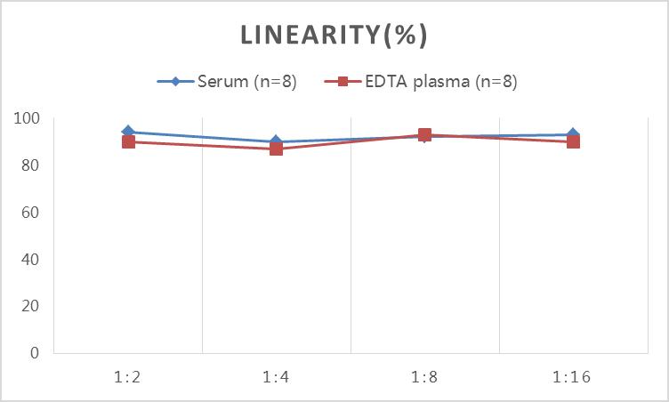 QuicKey Pro Rabbit E2(Estradiol) ELISA Kit - 2