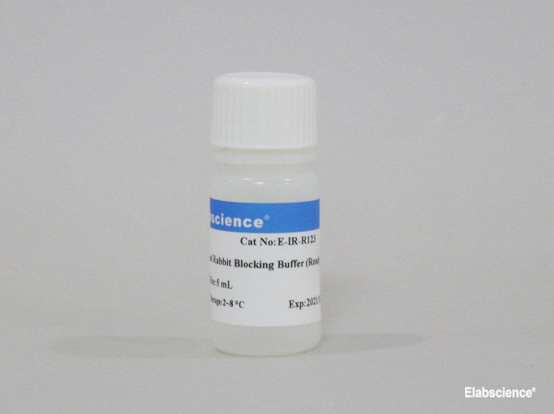 Normal Rabbit Blocking Buffer (Ready-to-Use) - small - 1