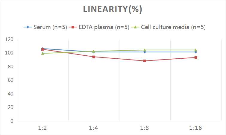 Human GROα/CXCL1(Growth Regulated Oncogene Alpha) ELISA Kit - small - 2