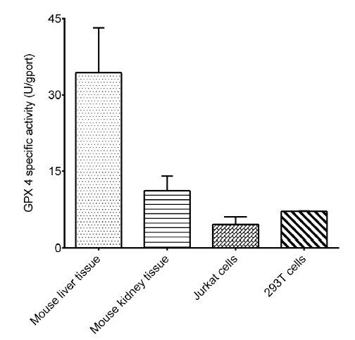 Glutathione Peroxidase 4 (GPX4) Activity Assay Kit - 1