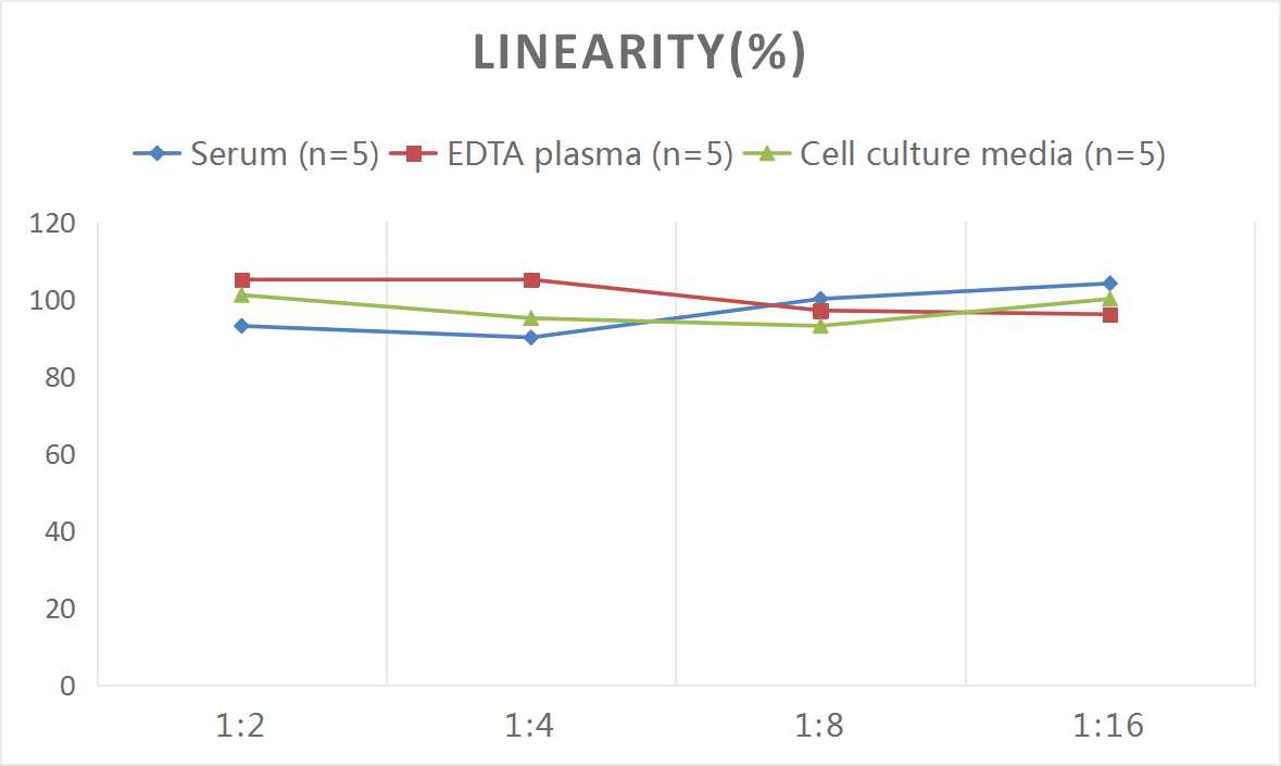 Human Zonulin ELISA Kit - small - 2