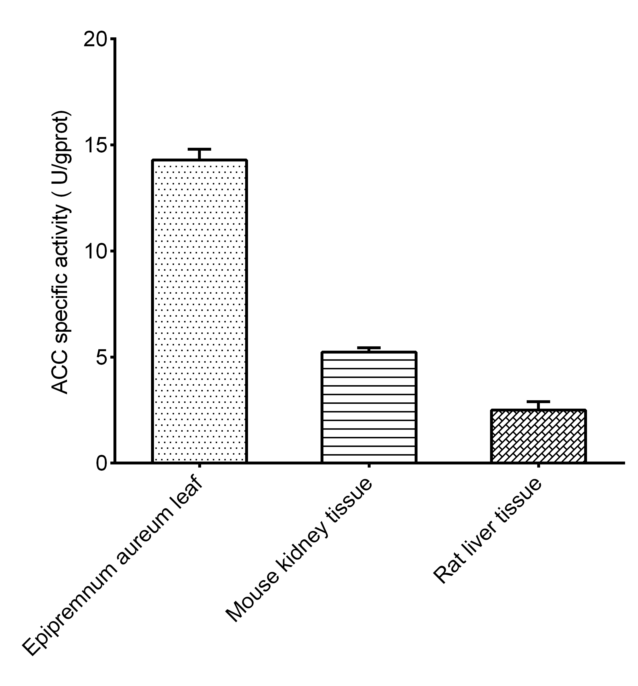 Acetyl-CoA Carboxylase (ACC) Activity Assay Kit - small - 2