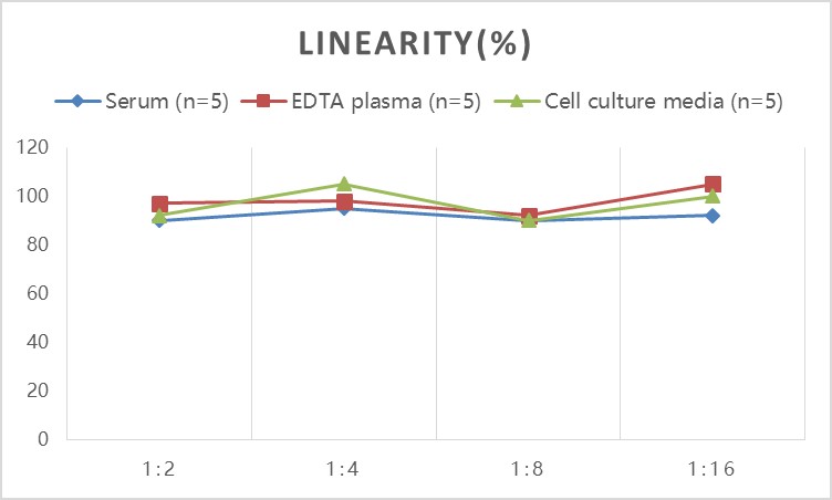 Mouse LH(Luteinizing Hormone) ELISA Kit - 2