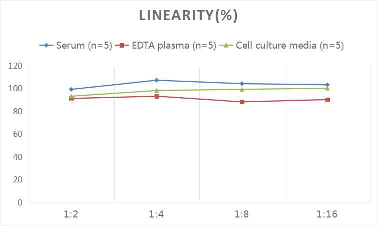 Human TNF-α(Tumor Necrosis Factor Alpha) ELISA Kit - 2