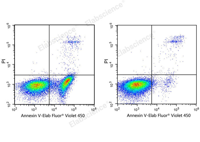 Annexin V-Elab Fluor<sup>®</sup> Violet 450 Azide-Free Lyophilized Powder - 1