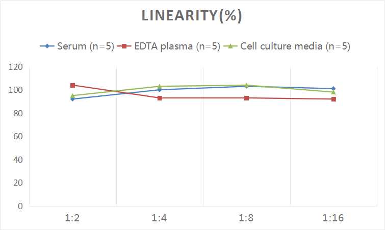 Human IP-10/CXCL10(Interferon Gamma Induced Protein 10kDa) ELISA Kit - small - 2