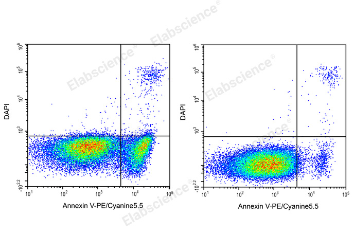 Annexin V-PE/Cyanine5.5 Reagent - 1