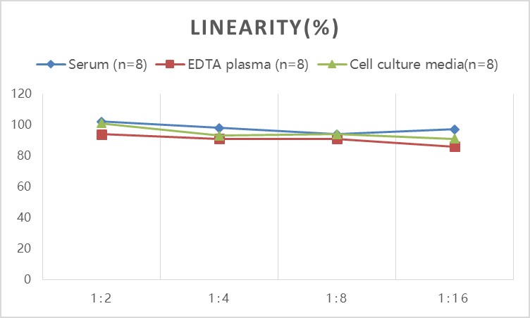 Rabbit TNF-α(Tumor Necrosis Factor Alpha) ELISA Kit - 2
