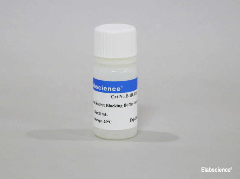 Normal Rabbit Blocking Buffer (Concentrated) - small - 1