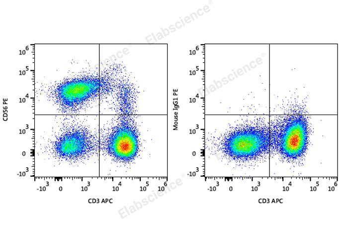 PE Anti-Human CD56/NCAM Antibody[5.1H11] - small - 1