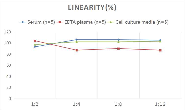 Human Aβ1-40(Amyloid Beta 1-40) ELISA Kit - 2