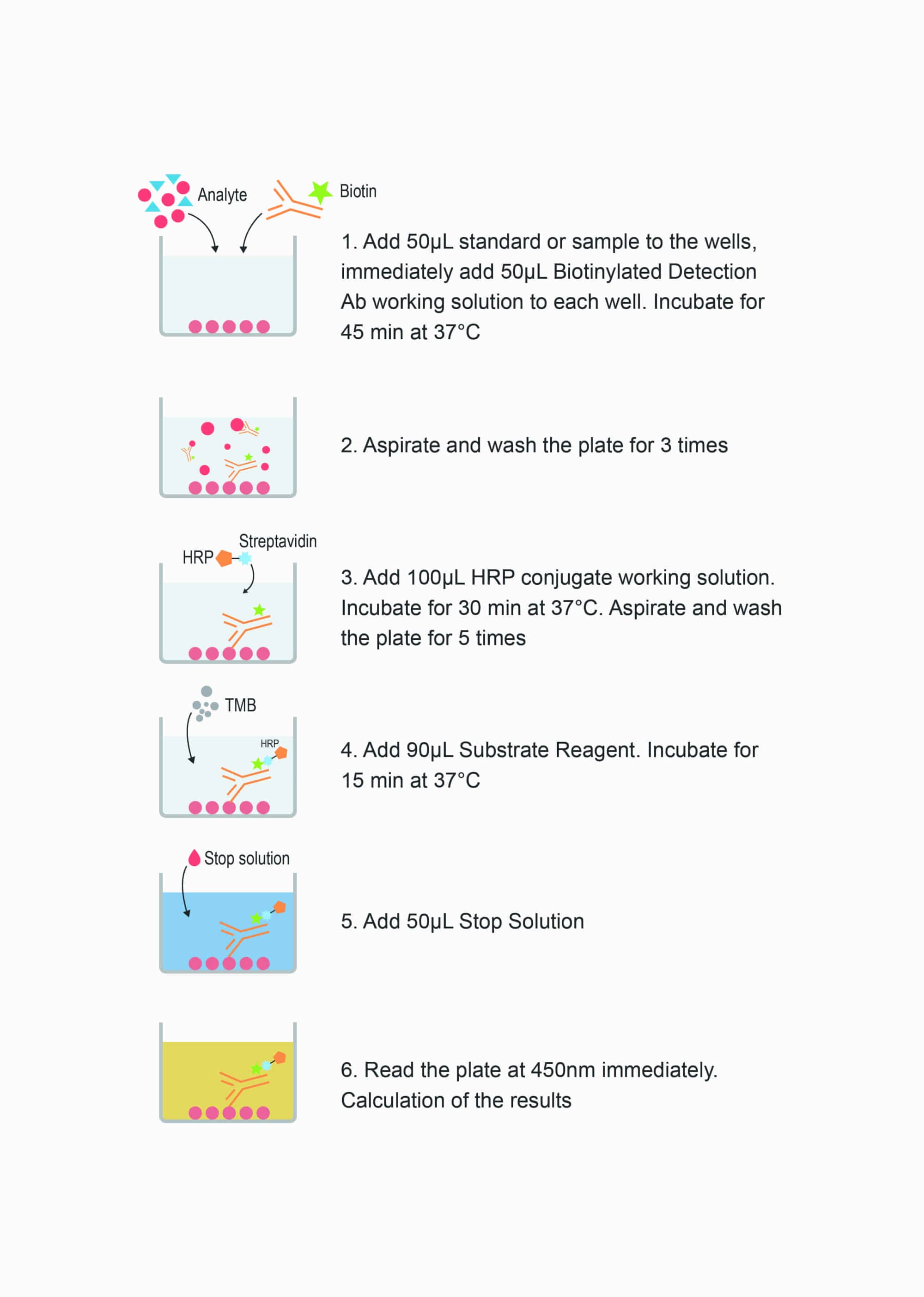 Mouse VIP(Vasoactive Intestinal Peptide) ELISA Kit - procedures