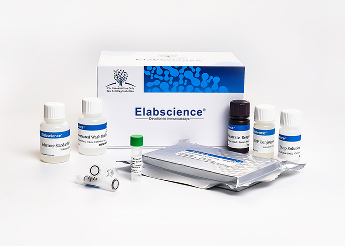 QuicKey Pro Rabbit Pg(Progesterone) ELISA Kit - small - 5