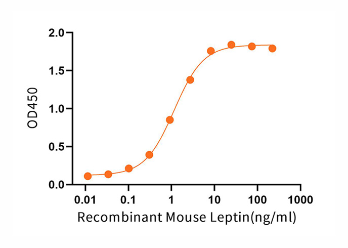 Recombinant Mouse Leptin - 2