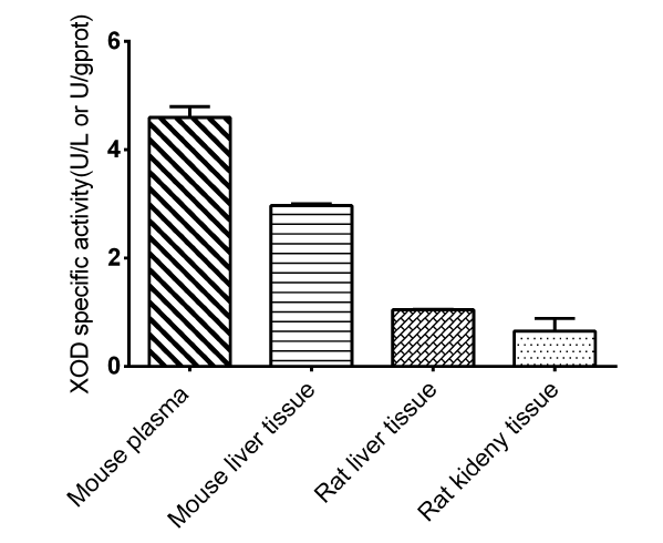 Xanthine Oxidase (XOD) Activity Assay Kit - 2