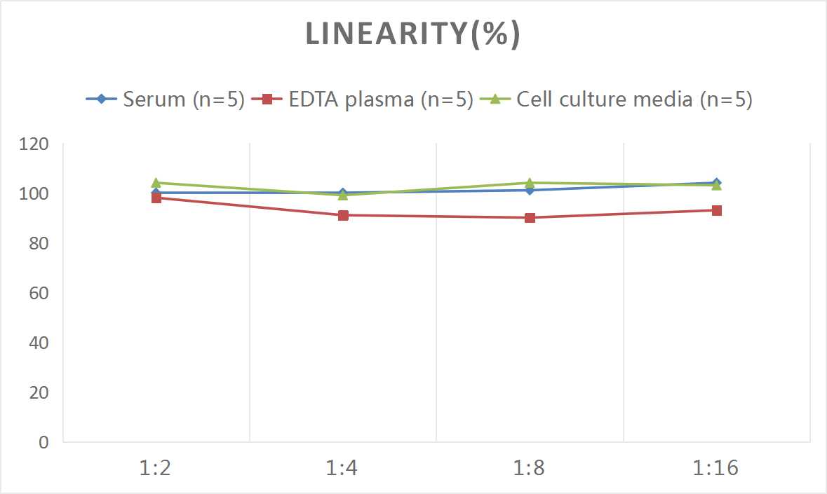 Rat IgG(Immunoglobulin G) ELISA Kit - 2