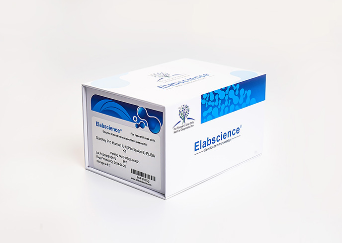 QuicKey Pro Rabbit Pg(Progesterone) ELISA Kit - small - 3