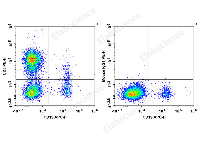PE Anti-Human CD5 Antibody[5D7] - 1