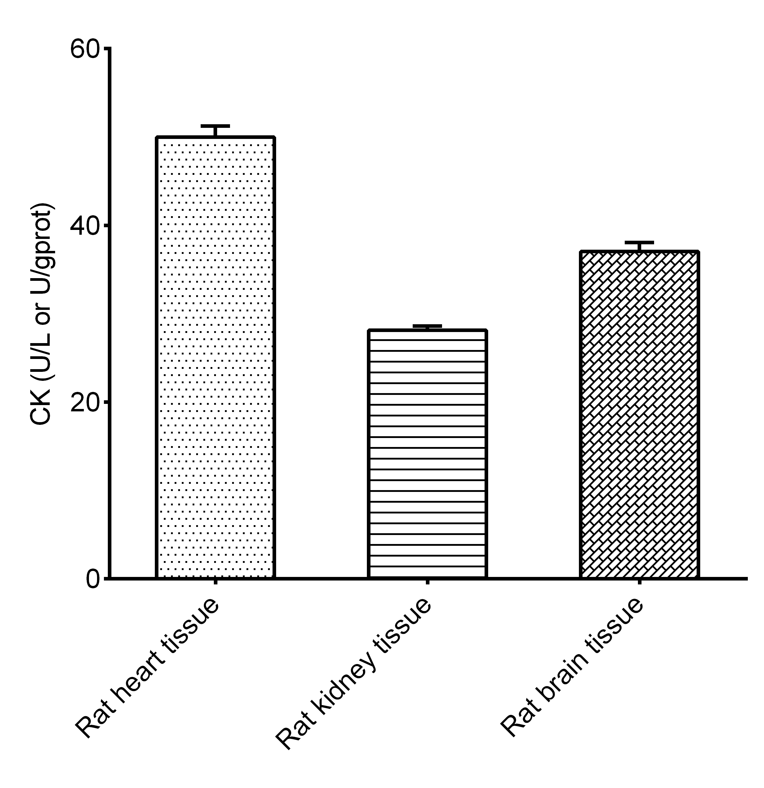 Creatine kinase (CK) Activity Assay Kit - small - 2
