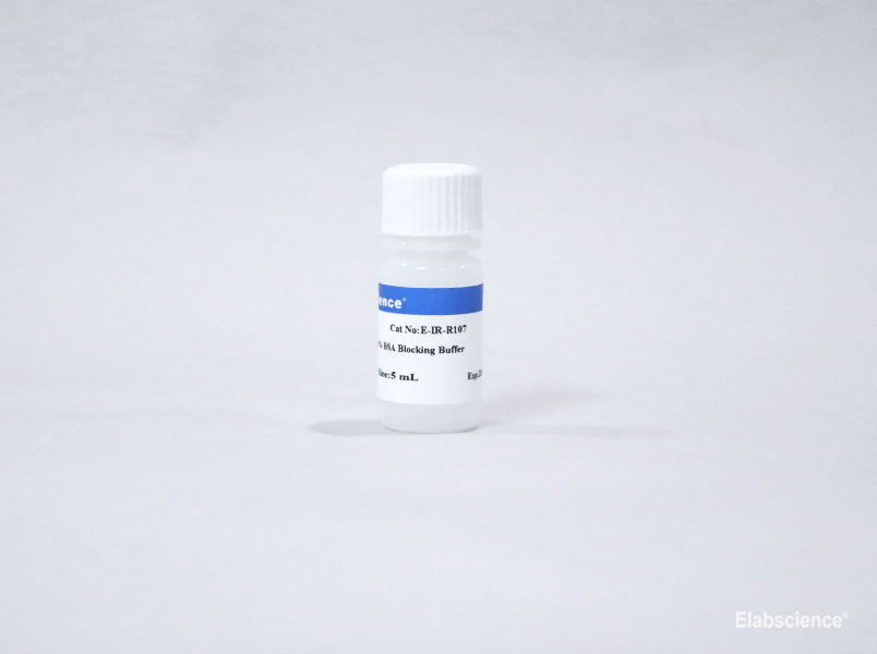 5% Blocking Buffer - small - 1