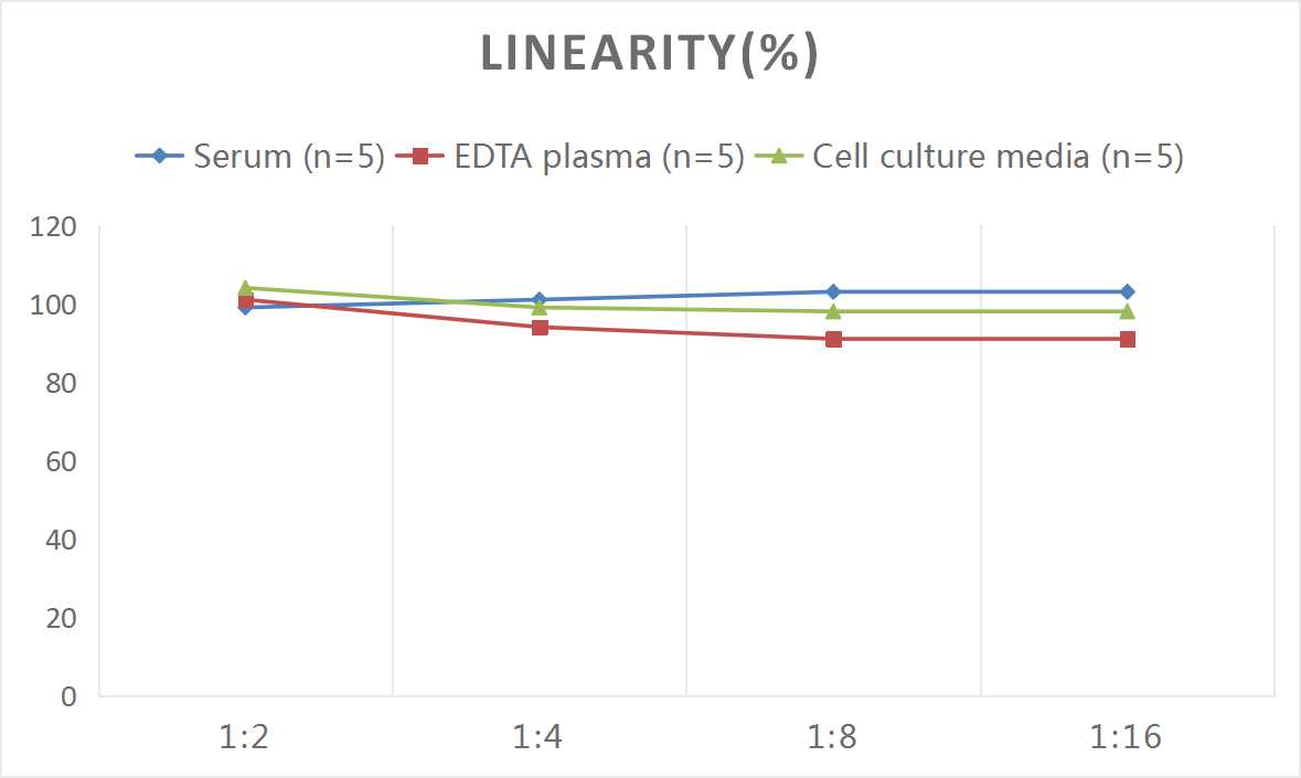 Mouse D-LDH(D-Lactate Dehydrogenase) ELISA Kit - small - 2
