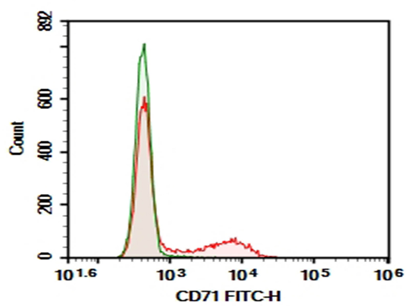 Purified Anti-Rat CD71 Antibody[OX-26], Functional Grade - 1