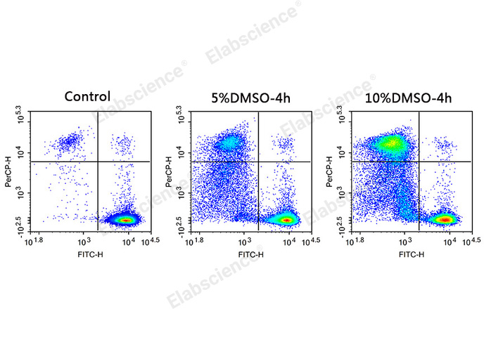 Calcein AM/PI Double Staining Kit - 2