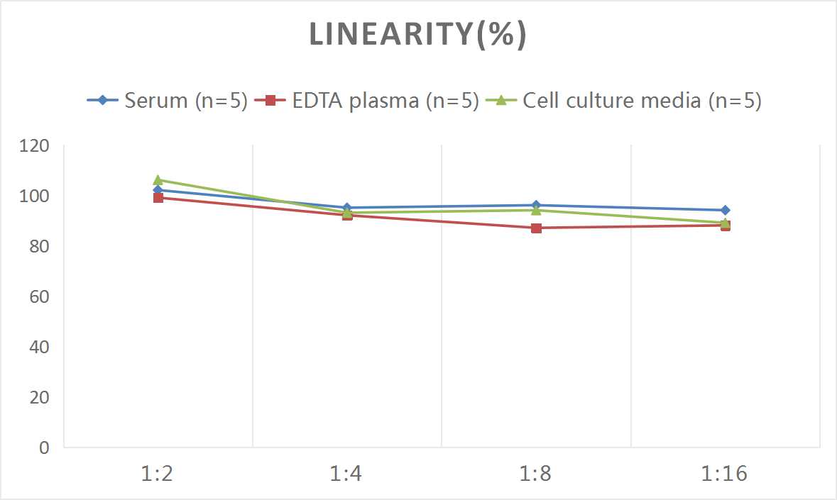 Human MUC5AC(Mucin 5 Subtype AC) ELISA Kit - 2