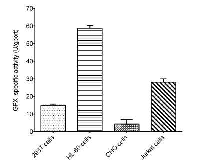 Cell Glutathione Peroxidase (GPX) Activity Assay Kit - 1