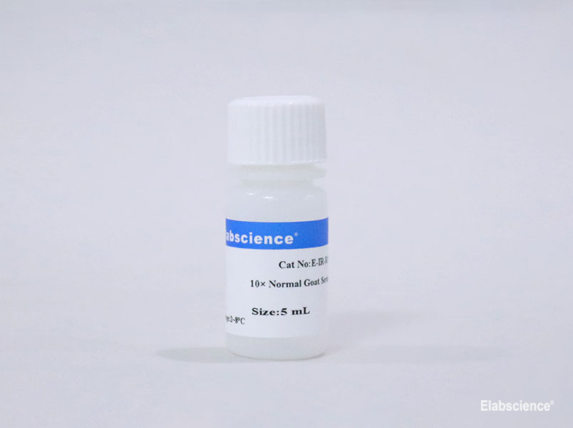 10× Normal goat Serum - small - 1
