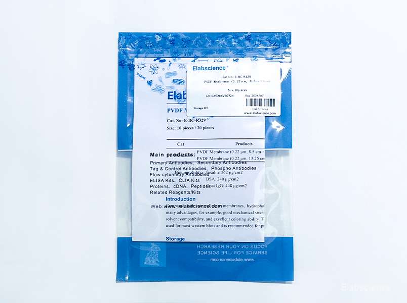 PVDF Membrane (0.22 μm) - small - 1