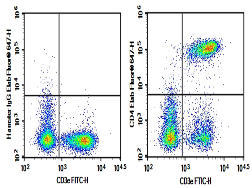 Purified Anti-Mouse CD4 Antibody[GK1.5], Functional Grade - 1