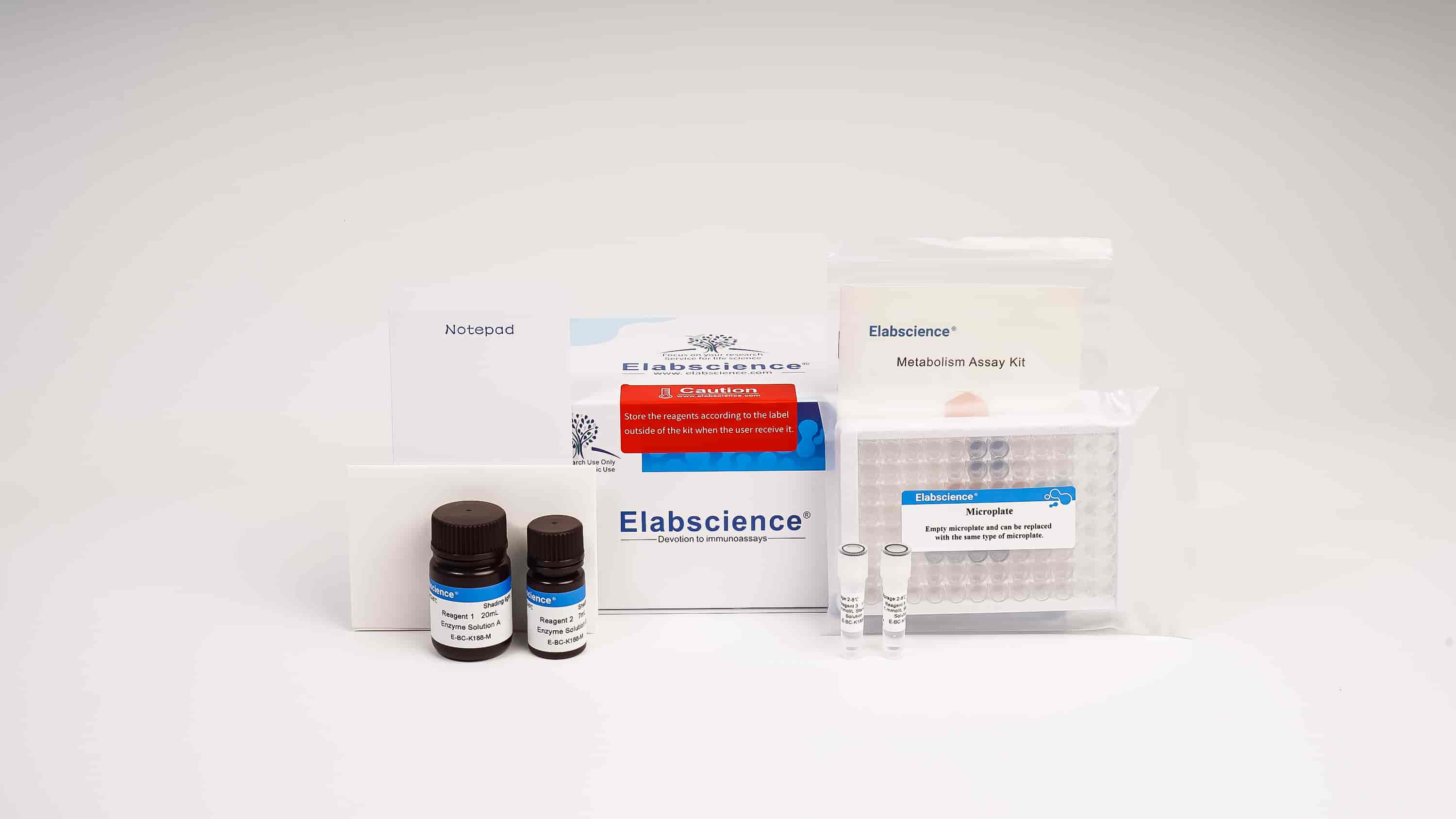 Alkaline Phosphatase (ALP) Activity Assay Kit (PNPP Method) - 3