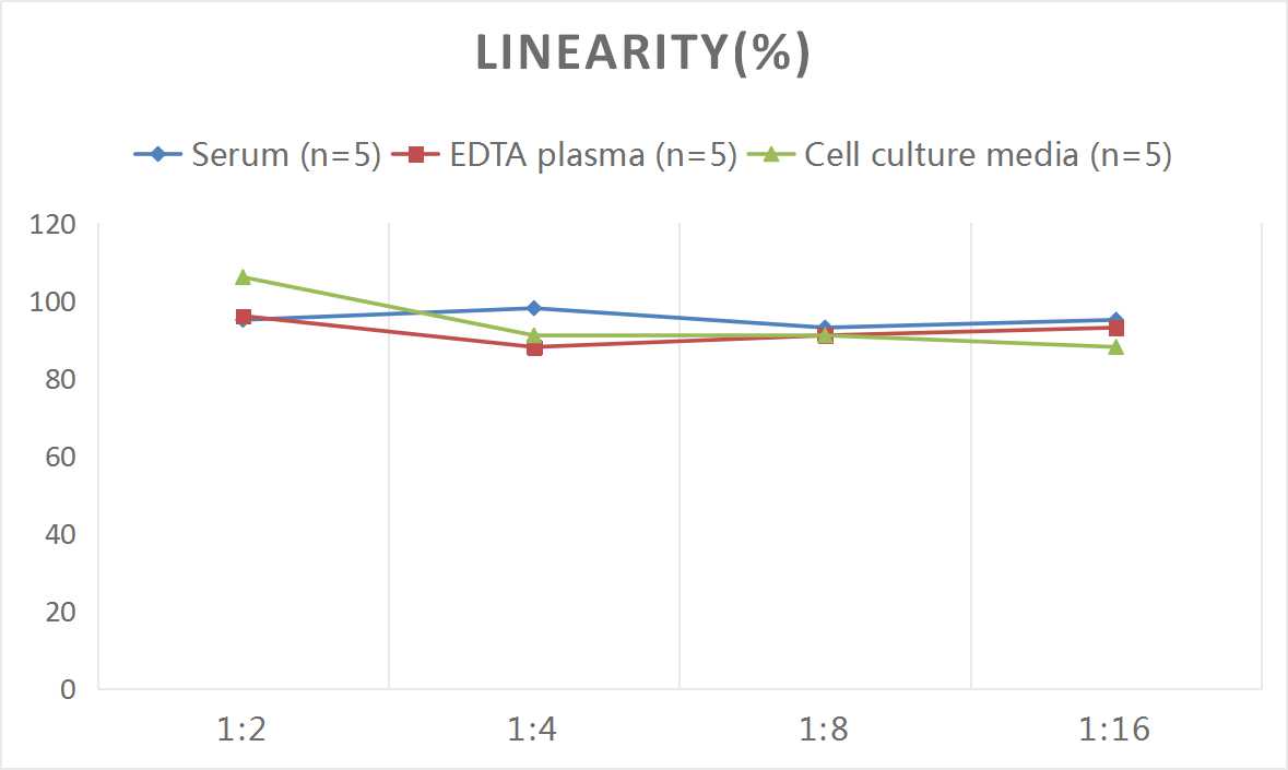 Rat OPN(Osteopontin) ELISA Kit - 2