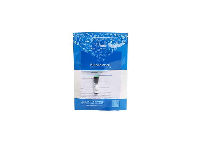 SMCC Activated Peroxidase (HRP) - 1