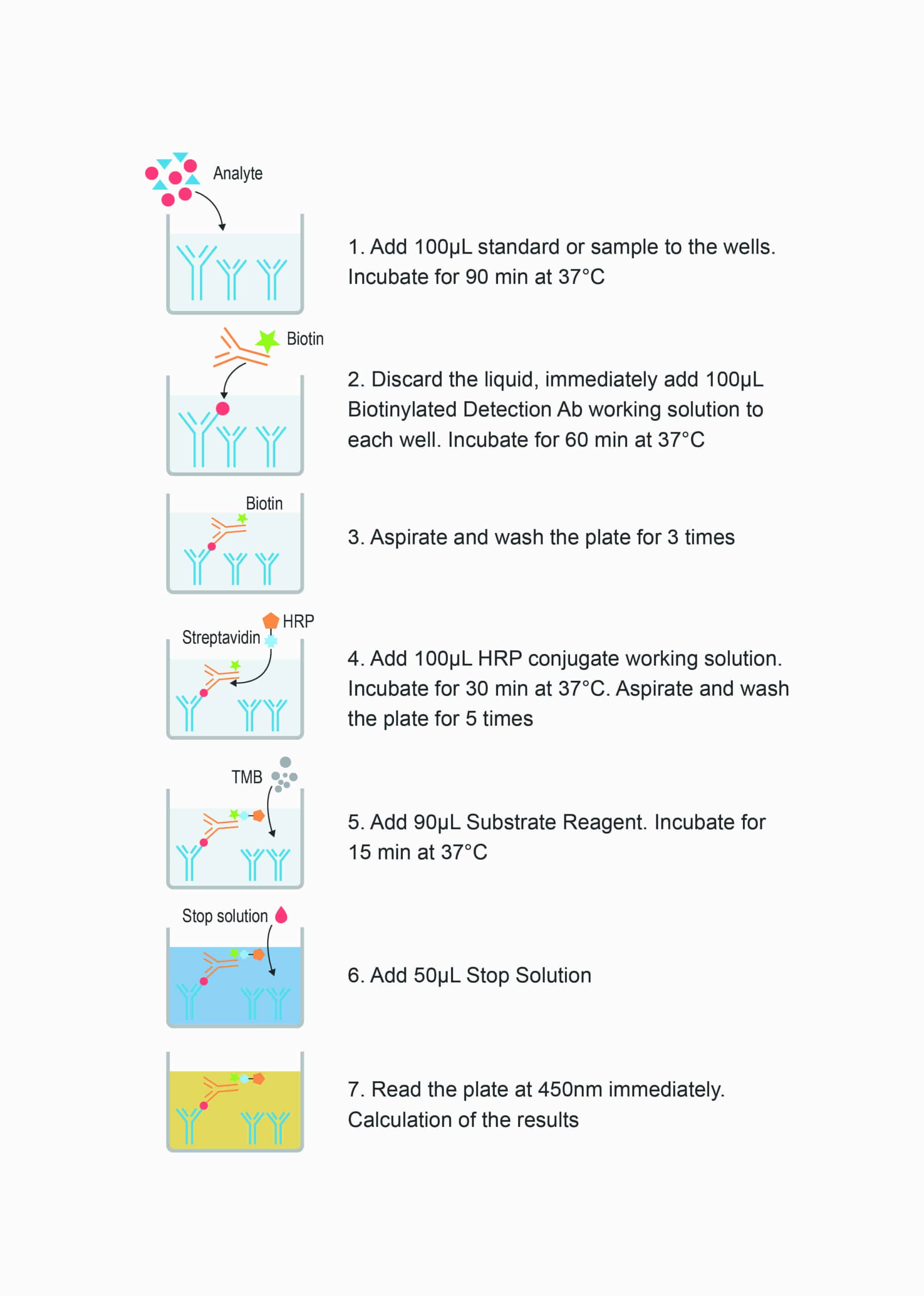 SARS-CoV-2 Spike Protein S1 RBD ELISA Kit - procedures