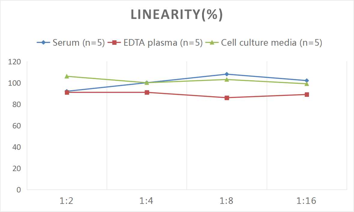 Rat IL-1β(Interleukin 1 Beta) ELISA Kit - 2