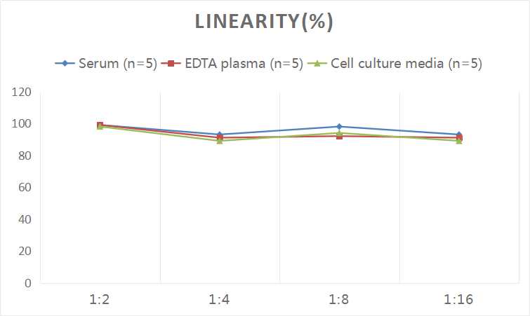 Human FN(Fibronectin) ELISA Kit - small - 2