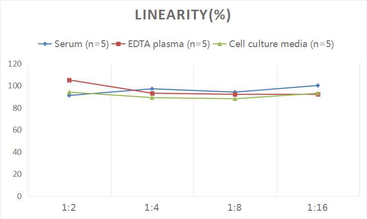 Human DEFβ2/DEFB2(Defensin Beta 2) ELISA Kit - 2