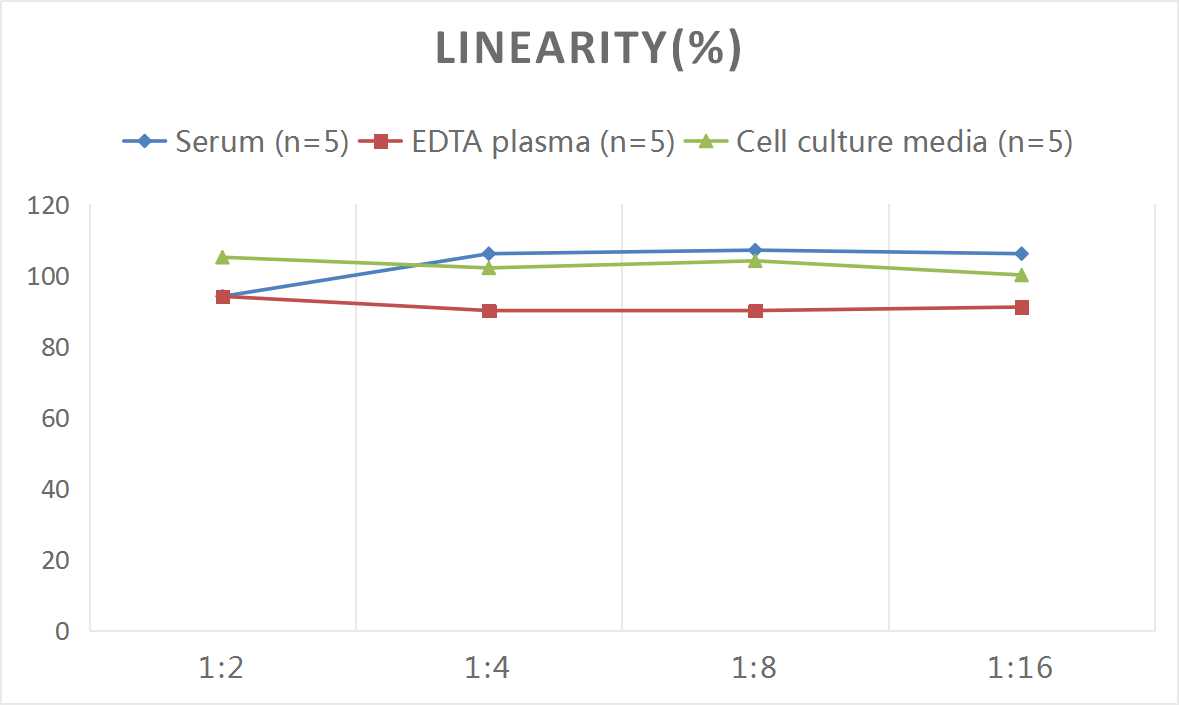 Rat IL-17A(Interleukin 17A) ELISA Kit - 2