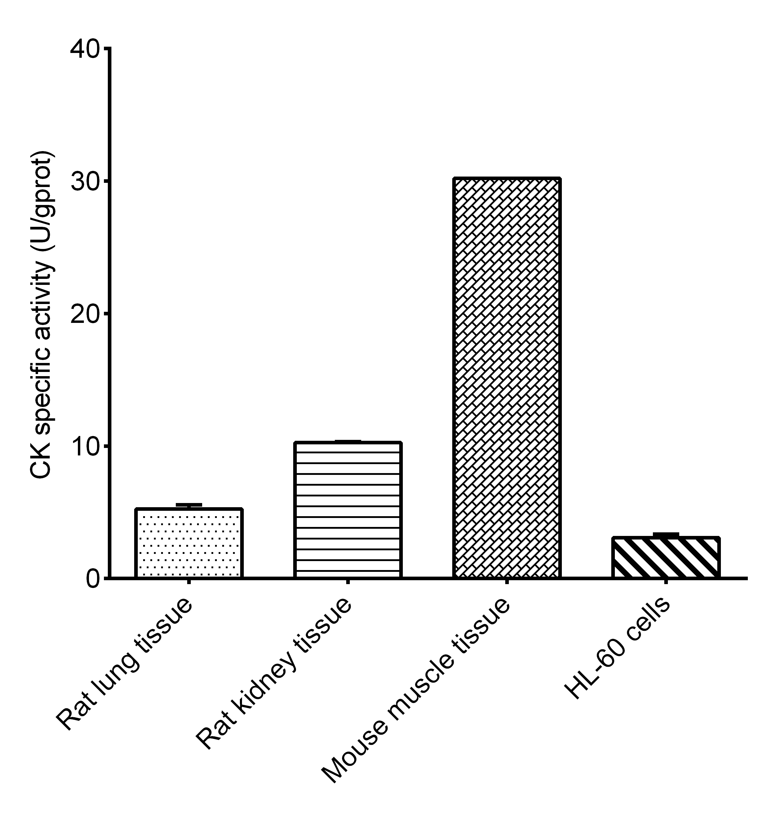 Creatine Kinase (CK) Activity Assay Kit - 1