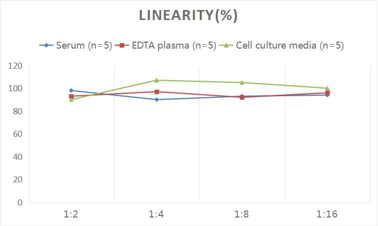Human ADH(Antidiuretic Hormone) ELISA Kit - small - 2