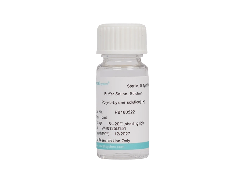 Poly-L-Lysine Solution (1 × ) - 1