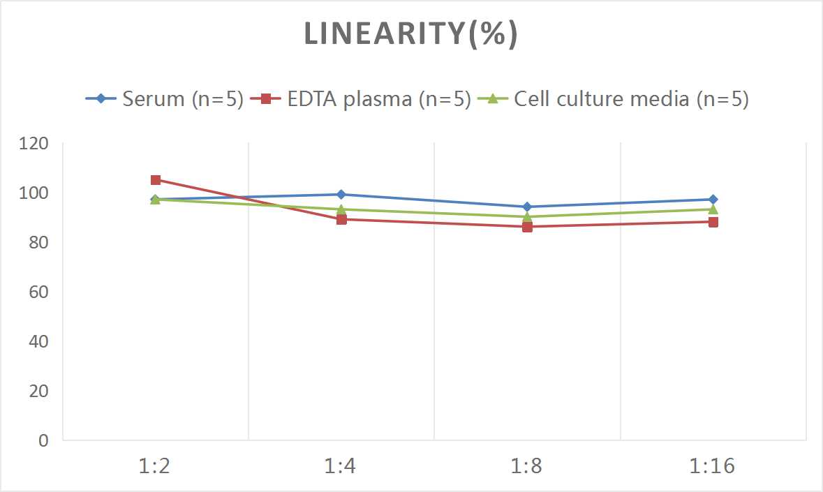 Rat sIgA(Secretory Immunoglobulin A) ELISA Kit - 2