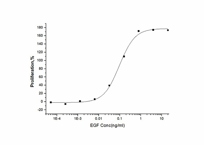 Recombinant Human EGF Protein - small - 2