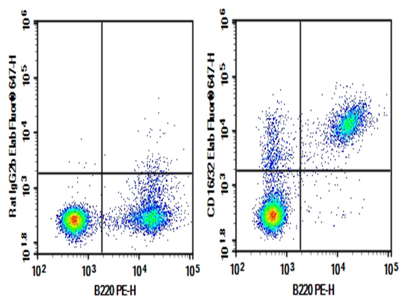 Purified Anti-Mouse CD16/32 Antibody[2.4G2], Functional Grade - 1