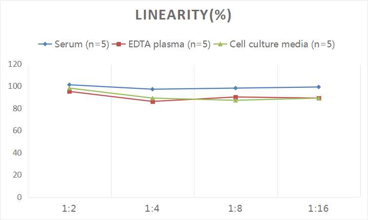 Human CA125(Carbohydrate Antigen 125) ELISA Kit - 2