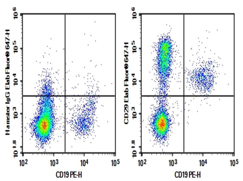 Purified Anti-Mouse/Rat CD29 Antibody[HMβ1-1], Functional Grade - 1