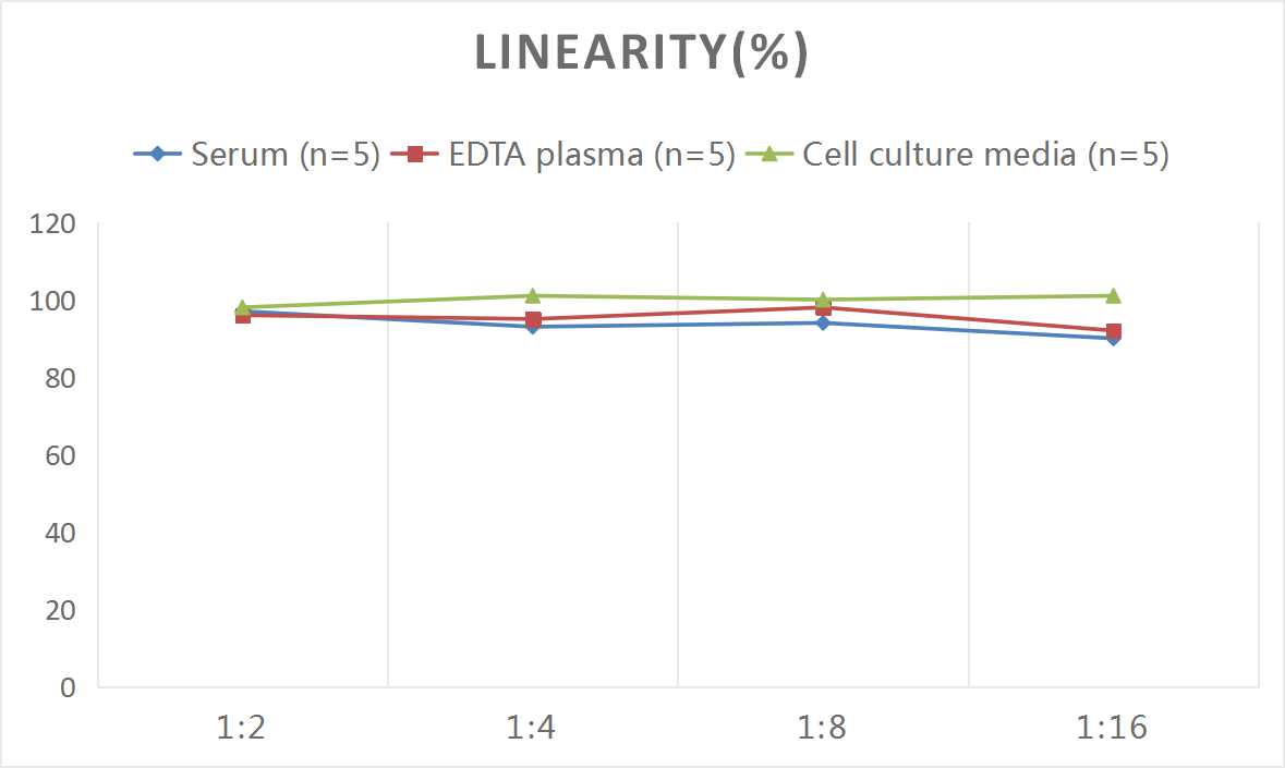 Mouse D2D(D-Dimer) ELISA Kit - 2
