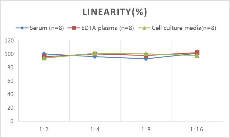 Rat TNF-α(Tumor Necrosis Factor Alpha) ELISA Kit - 2